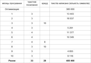 кейс о SEO-продвижении интернет-магазина фото - 2