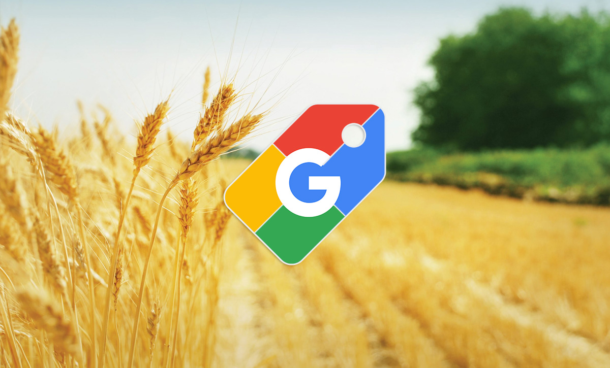 Google Shopping: як ми отримали 600+ лідів за 3 місяці в сільськогосподарській тематиці